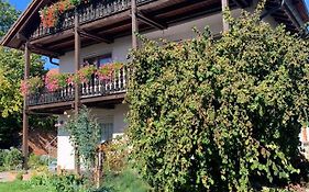 Gästehaus zum Rhein
