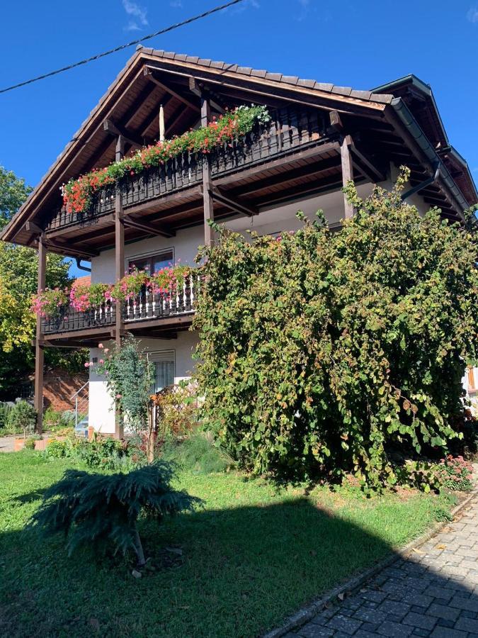 Ferienwohnung Gästehaus zum Rhein Rheinhausen Exterior foto