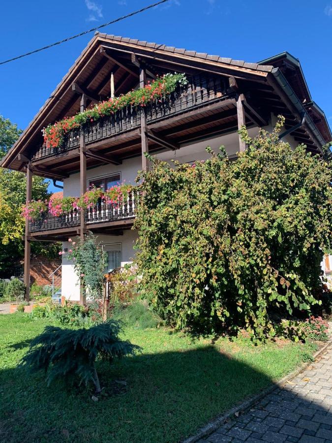 Gästehaus zum Rhein Rheinhausen Exterior foto